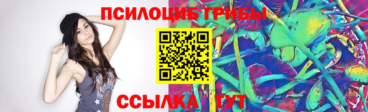 Галлюциногенные грибы Cubensis  Псилоцибиновые грибы MAGIC MUSHROOMS  Беслан  Вход с VPN 