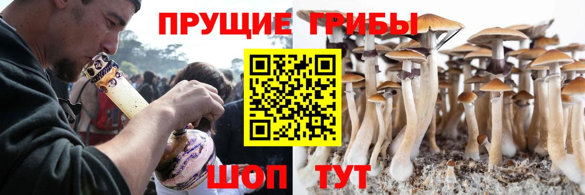 Псилоцибиновые грибы MAGIC MUSHROOMS Беслан